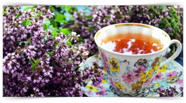 Tıbbi Ve Aromatik Bitki Yetiştiriciliği Sertifika Kursu