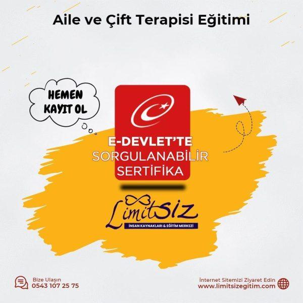 Aile ve Çift Terapisi Eğitimi Sertifika Kursu