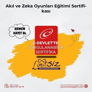 Akıl ve Zeka Oyunları Eğitimi Sertifikası