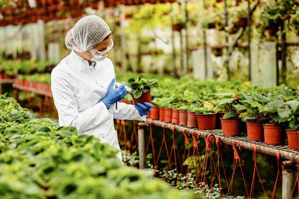 Aromatik Bitkisel Üretim Eğitimi Sertifikası Nedir?