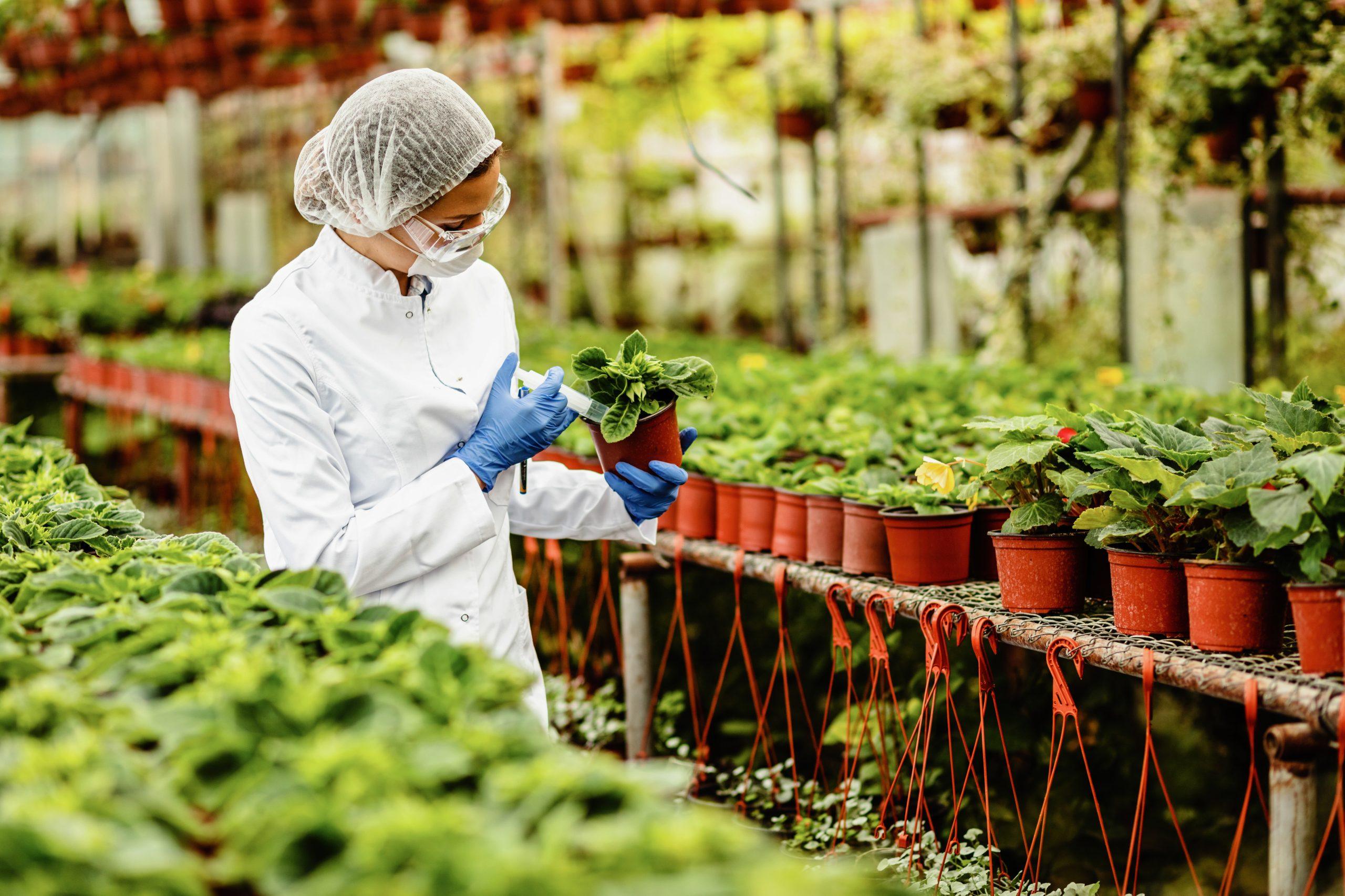 Aromatik Bitkisel Üretim Eğitimi Sertifikası Nedir?
