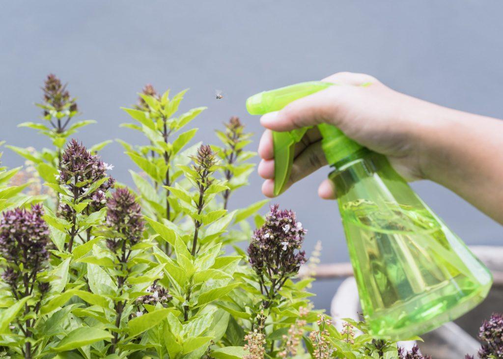 Tıbbi Aromatik Bitki Yetiştiriciliği Eğitimi