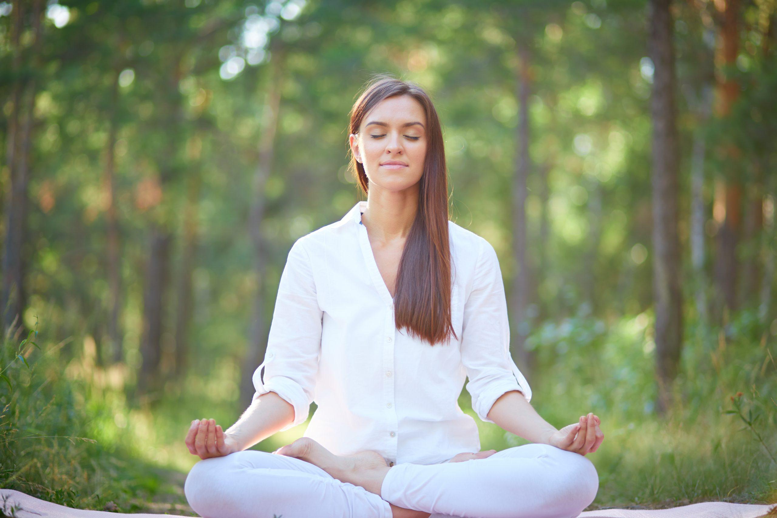 Mindfulness eğitimi