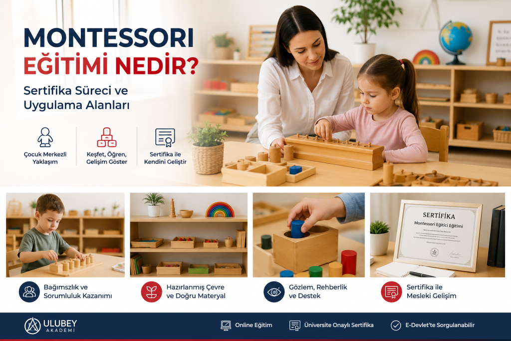 Montessori Eğitimi Nedir ?